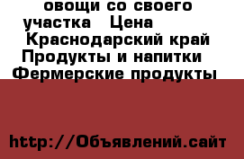 овощи со своего участка › Цена ­ 5-45 - Краснодарский край Продукты и напитки » Фермерские продукты   